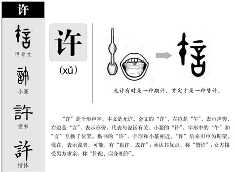 許 五行|许